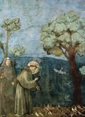 w. Franciszek i ptaki - Giotto